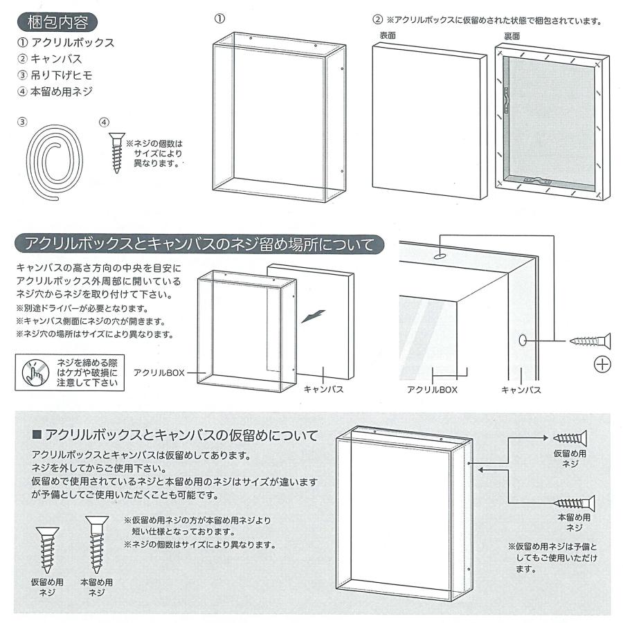 アクリルBOXフレーム キャンバス付 /455×530(F10) : 額縁のタカハシ