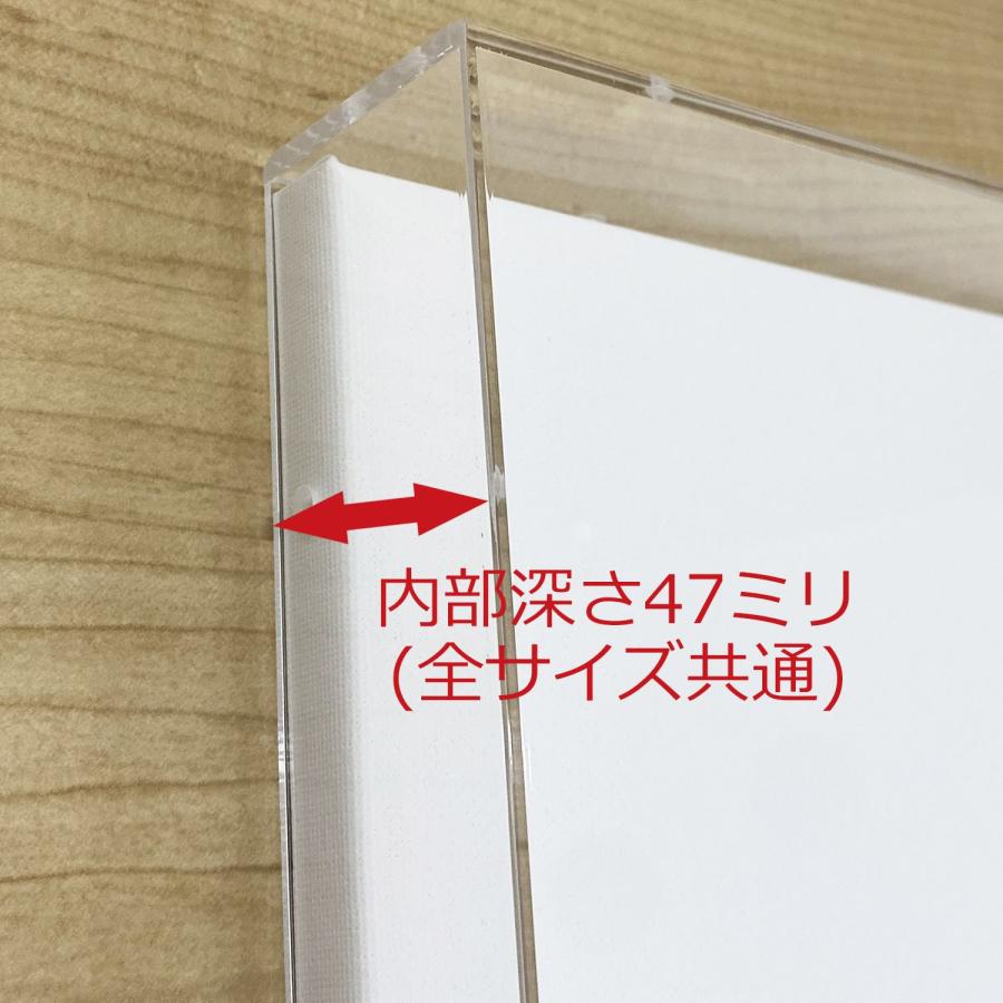アクリルBOXフレーム キャンバス付 /530×651(F15) : 額縁のタカハシ