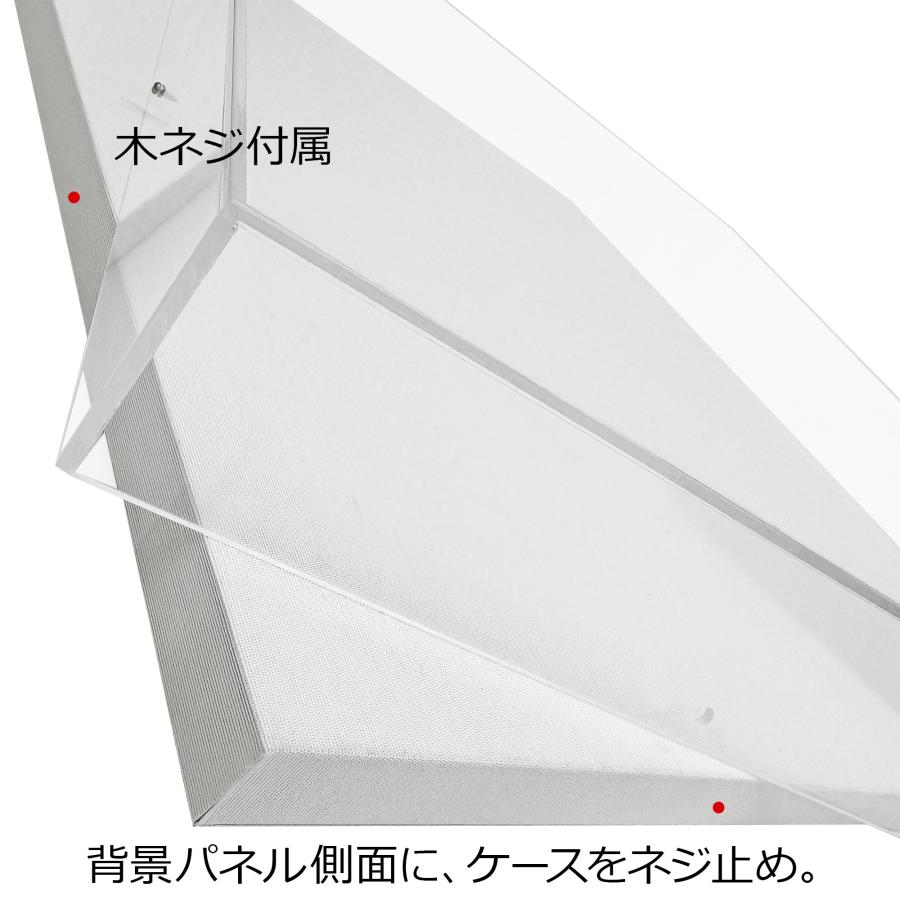 キャンバス用アクリルケース /190×273(P3)のキャンバス・パネル用(厚さ