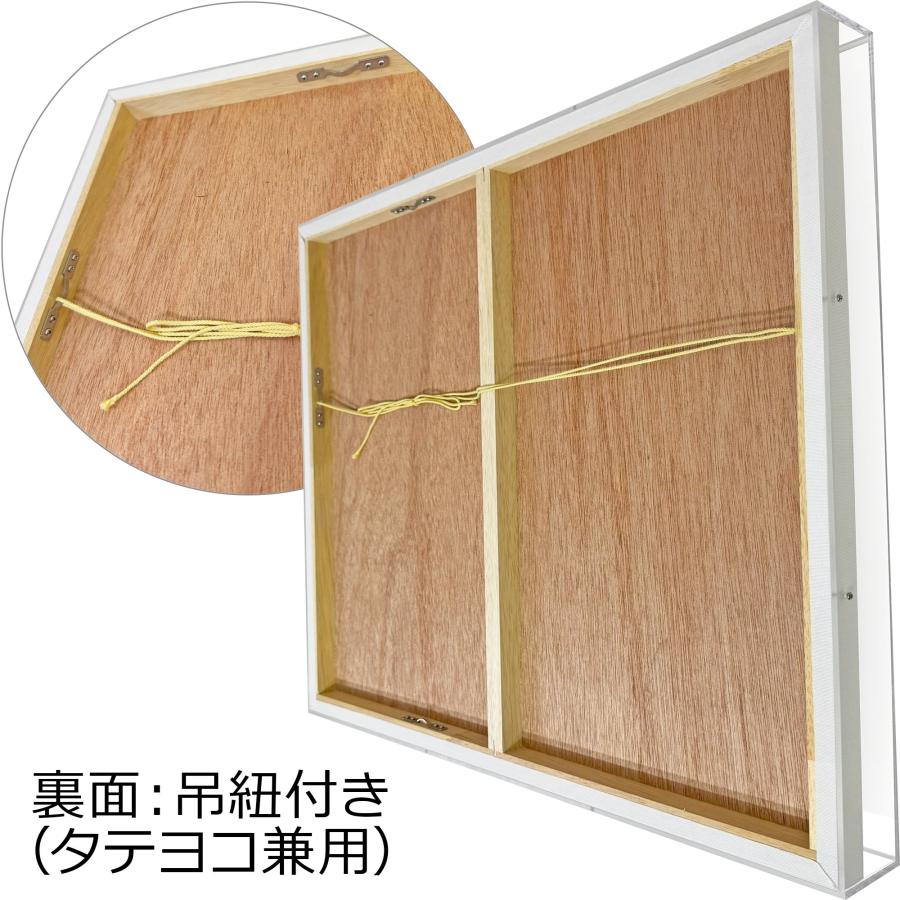 額装用☆アクリルボックス キャンバス用アクリルケース /190×273(P3)のキャンバス・パネル