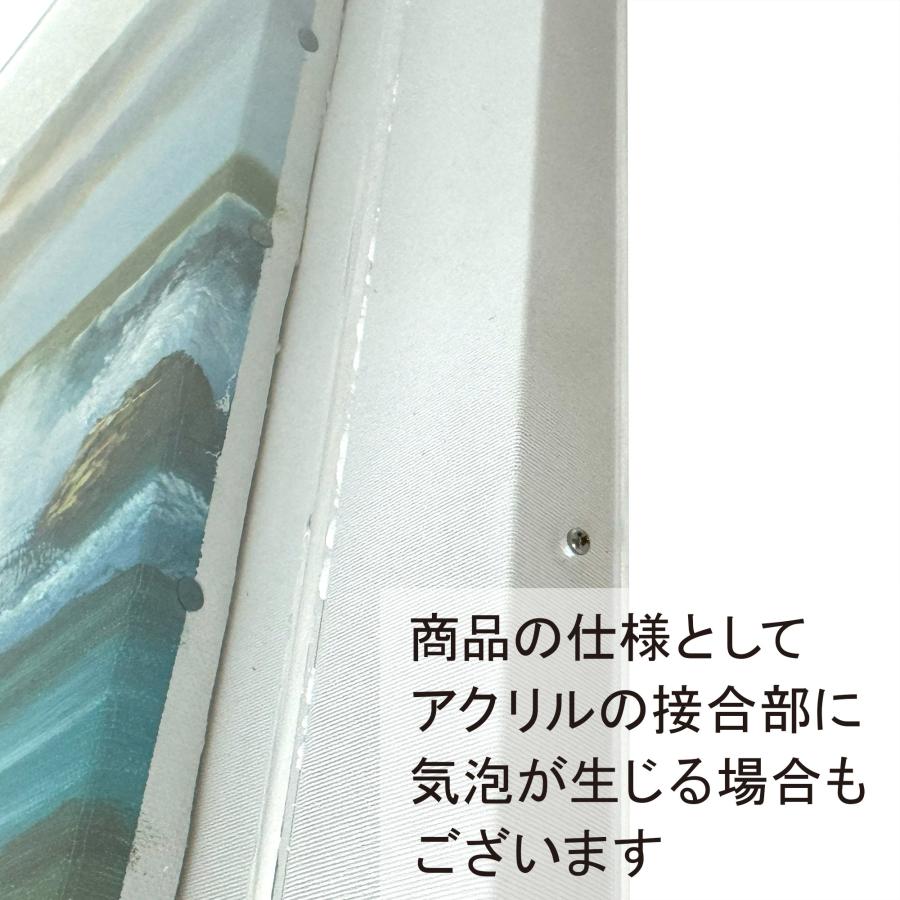 キャンバス用アクリルケース /258×365(B4)のキャンバス・パネル用(厚さ