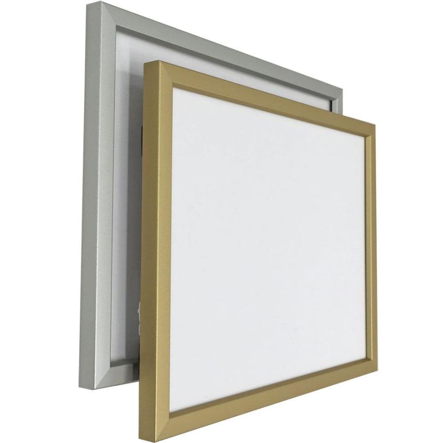 一般額(デッサン額) BH-210F アクリル付 /額縁内寸法:500×600(5060)の画像