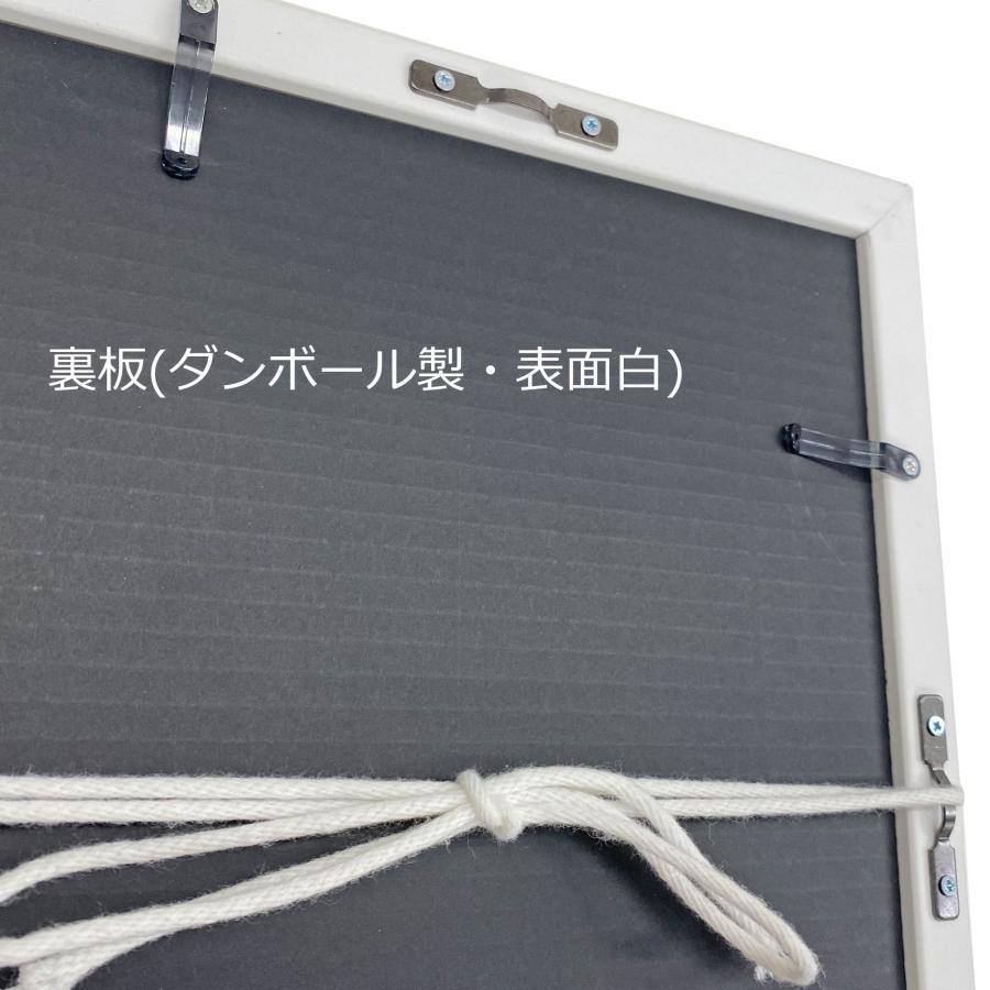 ポスター額 ステインパネル 0.8ミリ厚透明シート付 /680×990(輸入菊全)の紙が入る /大型A 時間指定・日祝配送不可の画像
