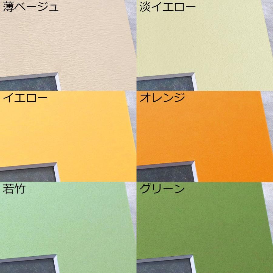 書道額 9755 アクリル付 /260×785(埼玉判)サイズの作品用 /額縁内寸法