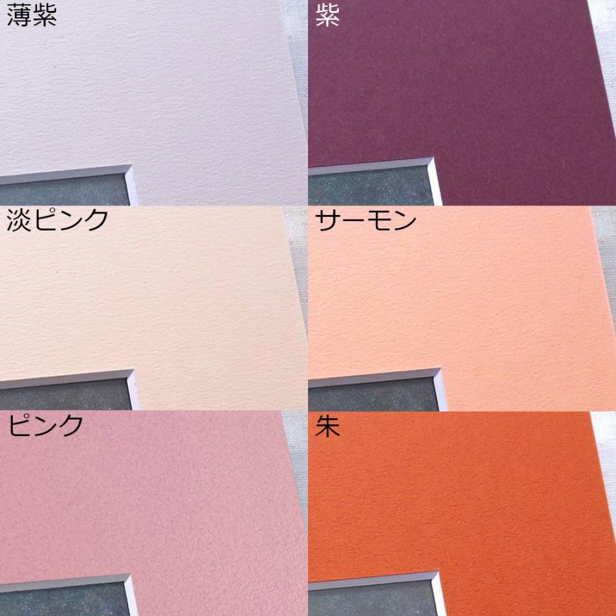 書道額 9755 アクリル付 /260×785(埼玉判)サイズの作品用 /額縁内寸法