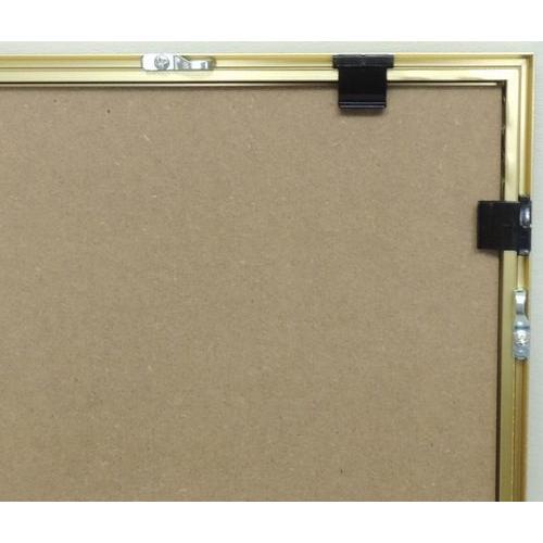 BH-18F 25×50 (250×500mm) ワイド額 横長額 水彩額 水彩額縁 デッサン