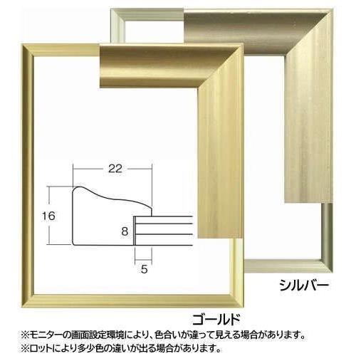 5652 インチ (255×203mm) 水彩額 水彩額縁 デッサン額 デッサン額縁