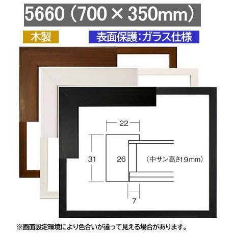 5660 (700×350mm) 70×35 ワイド額 横長額 水彩額 水彩額縁 デッサン額 デッサン額縁