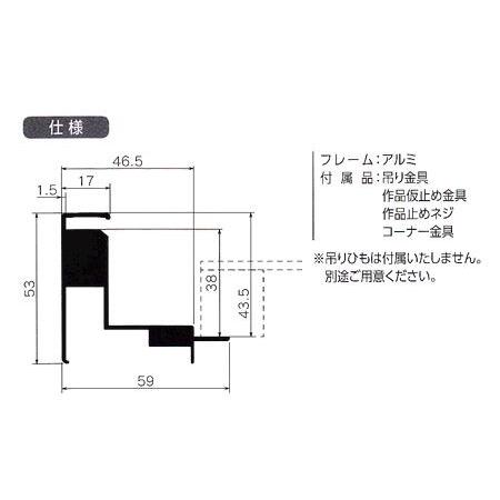 CX-62 組立式 20号 浮き出しタイプ オリジン アルフレーム出展用額縁の画像