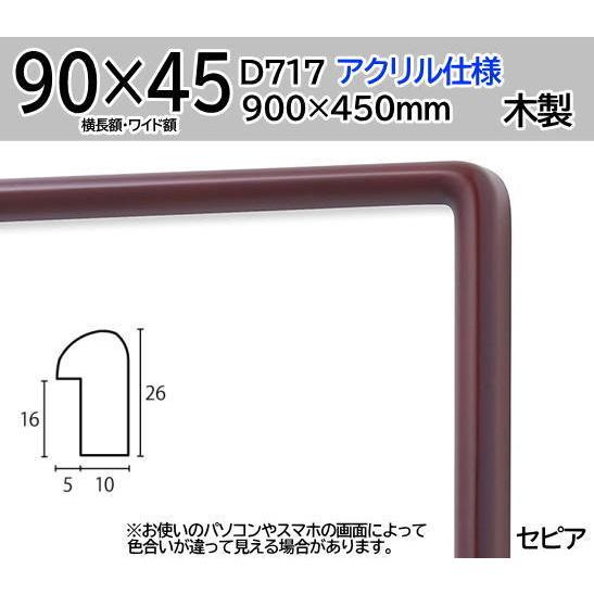 D717 セピア　90×45横長　水彩・デッサン額縁 900×450mm｜gakubutiya