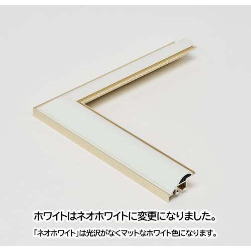 HVM 509×394mm 大衣(タイコロ) 水彩額 水彩額縁 デッサン額 デッサン