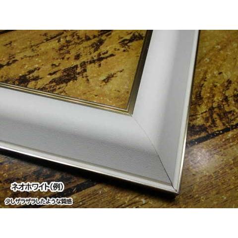 HVM 509×394mm 大衣(タイコロ) 水彩額 水彩額縁 デッサン額 デッサン