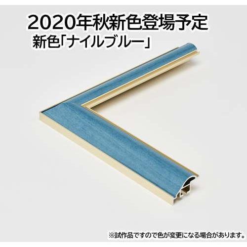 HVM 509×394mm 大衣(タイコロ) 水彩額 水彩額縁 デッサン額 デッサン
