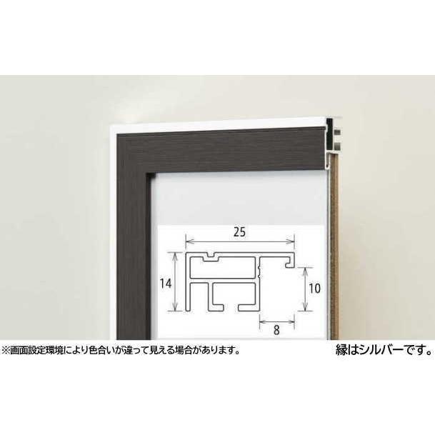 モントレ 半切 (545×424mm) デッサン額縁 アルミ製 受注生産品 はんせつ_2