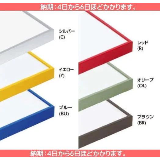 SH-203N インチ(203×254mm) 水彩額 水彩額縁 デッサン額