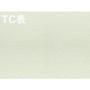 NC張りキャンバス(TCキャンバス) F3号 30枚セット (273×220mm) 桐木枠 綿化繊 綿化繊混【代引不可・同梱不可】 VIC