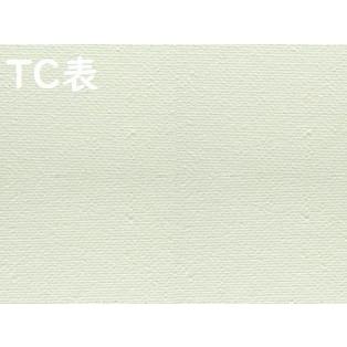 NC張りキャンバス(TCキャンバス) F3号 60枚セット (273×220mm) 桐木枠
