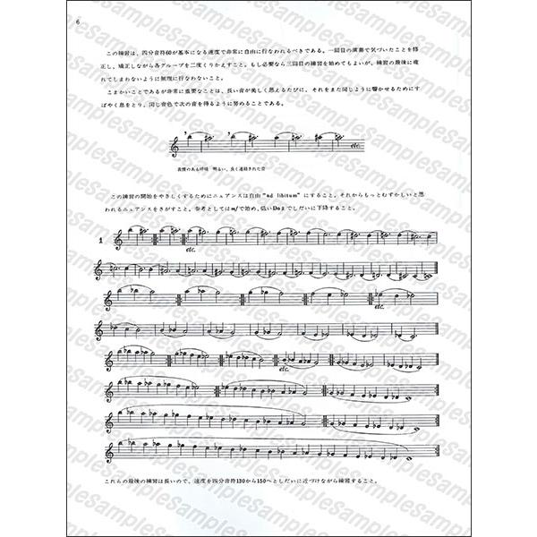 楽譜 モイーズ／ソノリテについて 方法と技術(AL25159／フルート教本