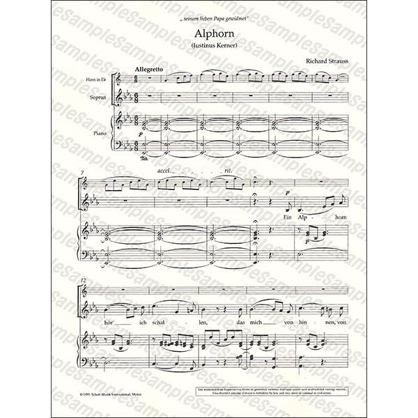 リヒャルト・シュトラウス:アルプス交響曲|全音オンライン リヒャルト・シュトラウス:アルプス交響曲|全音オンライン