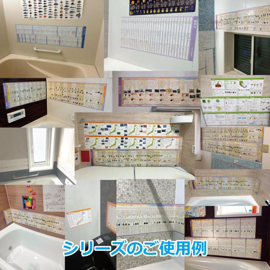 Gakupo お風呂でおぼえる学習ポスター 高校入試 古文単語 頻出256 A4