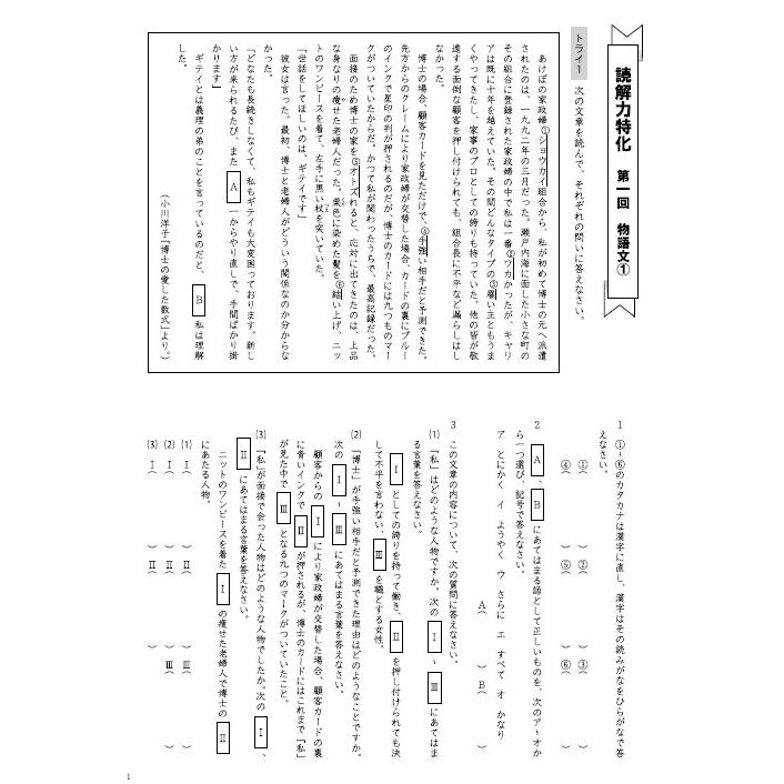 成長する思考力ｇｔシリーズ国語 読解力特化 3224 学林舎 通販