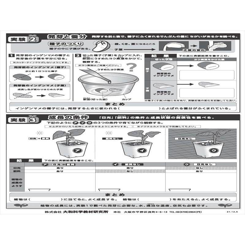 たねの発芽 A型 : 学林舎 - 通販 - Yahoo!ショッピング