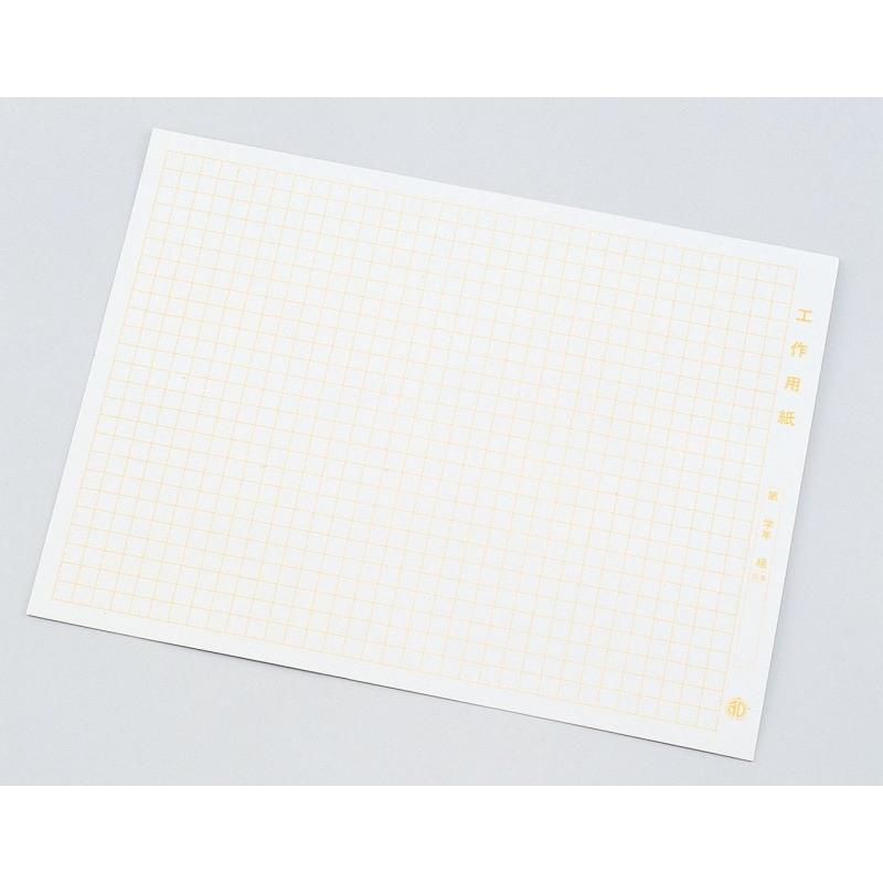 工作方眼紙 小 サイズ 27 37cm 枚数 8ツ切 100枚 図工 方眼用紙 D 学林舎 通販 Yahoo ショッピング