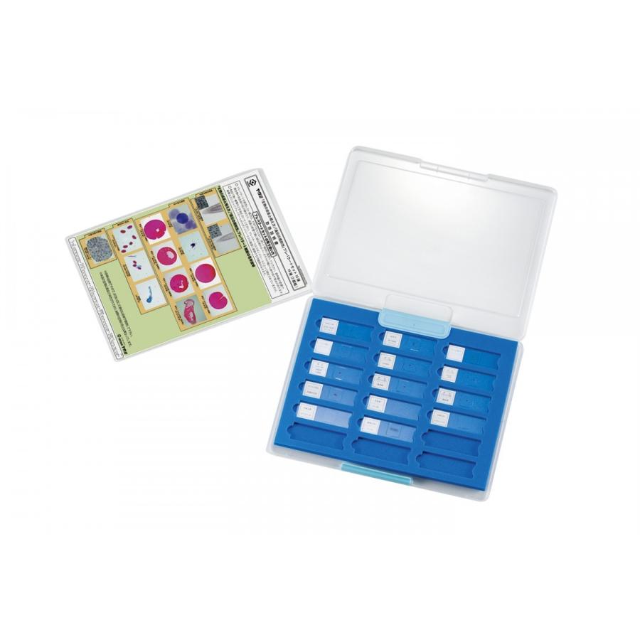 New限定品 生物の成長と殖え方 遺伝の規則性 プレパラートセット 14種 超人気 Www Shandilyaz Com