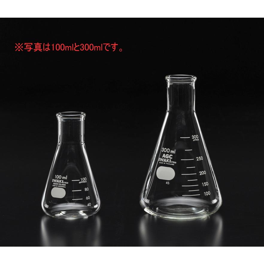 三角フラスコ IWAKI 500ml 学林舎 - 通販 - Yahoo ショッピング
