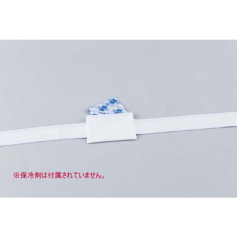 保冷剤固定バンド 簡易タイプ Y 学林舎 通販 Yahoo ショッピング