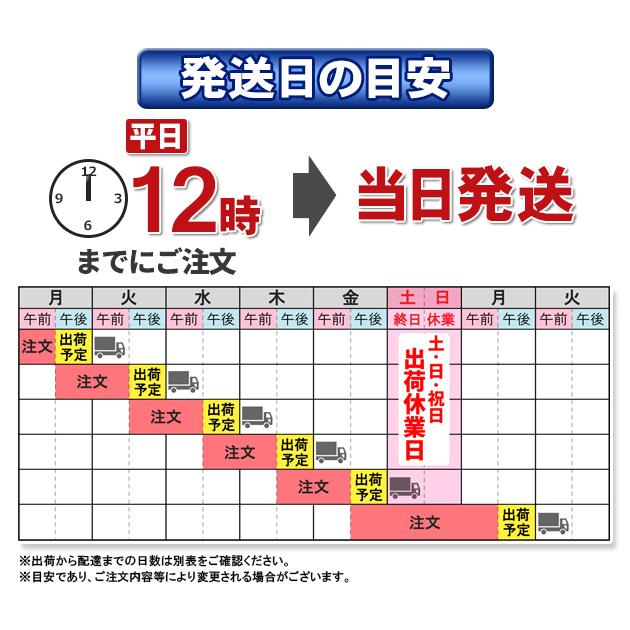 PHYSALIS ブルマ 体操服 XB-G型 王道の伝統型 スクールブルマー