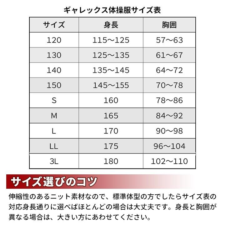 体操服 ギャレックス 正規品 ヨーク襟 半袖 体操着 M L LL 学販品 男子