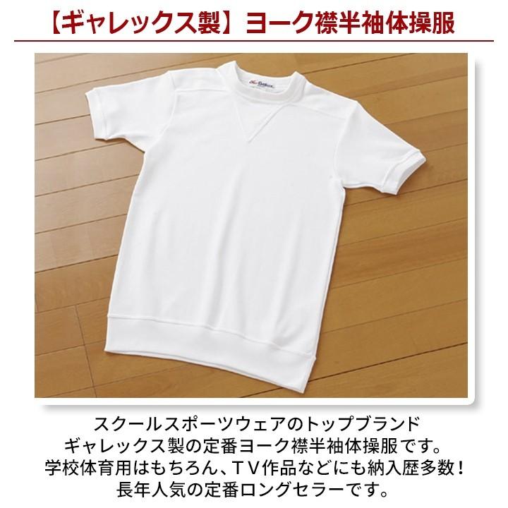 体操服 Galax ヨーク襟 半袖 120〜130 正規品 体操着 白 子供 男女共用