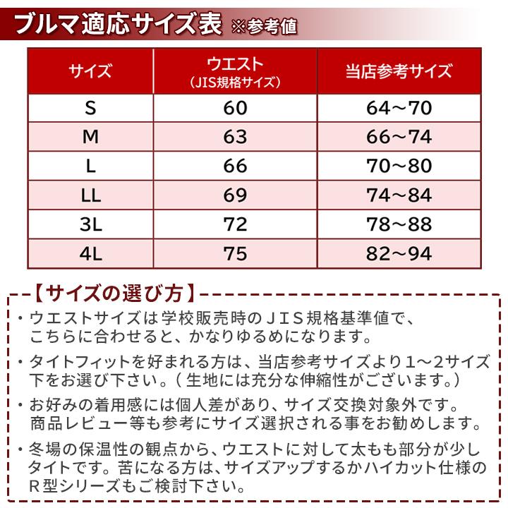 ブルマ 体操服 PHYSALIS S2型 プロトハイカット 2ライン S〜3L ガールズ 女の子 一般 スポーツ用品 メール便発送｜gakuseifuku｜11