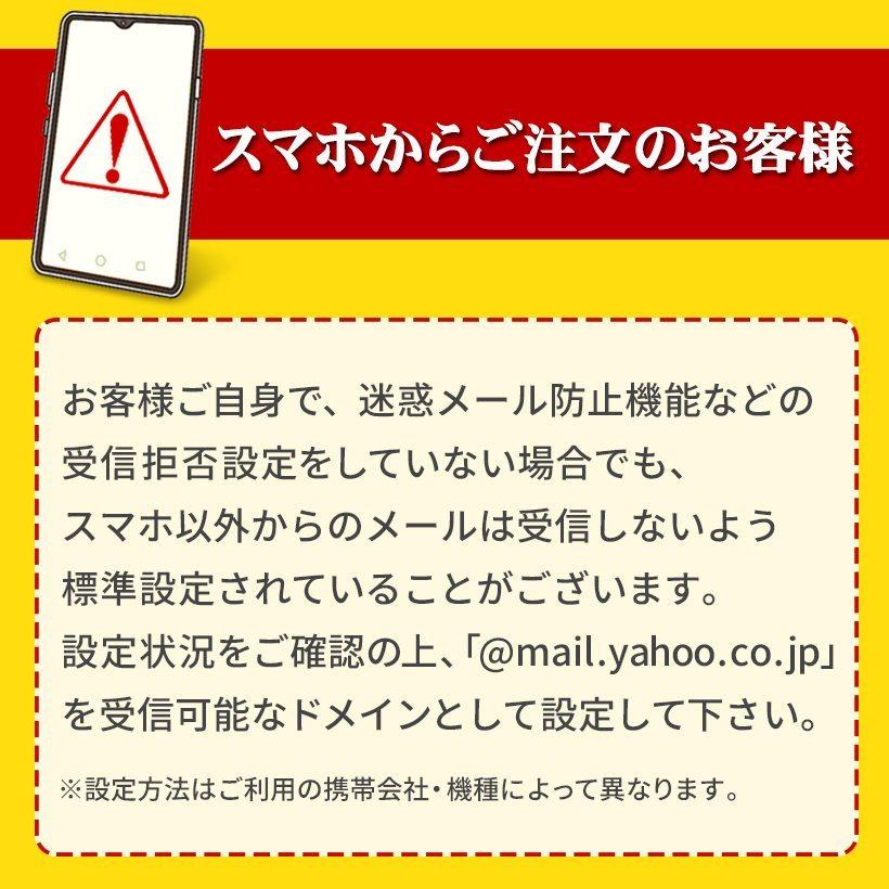 FOOTMARK（フットマーク） スクール水着 女子 学販品 旧型 伝統素材 M