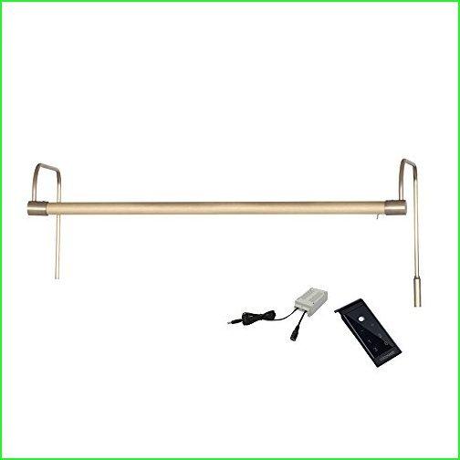 Cocoweb 21" Tru-Slim LED Picture Light in Antique Brass with Plug-in Adapter and Remote Control