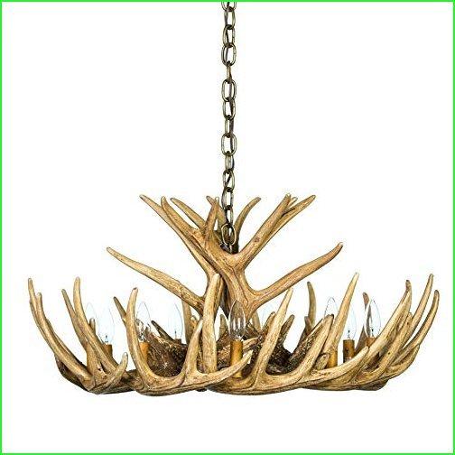 お待たせ 12 Whitetail Antler Chandelier Cascade シーリングライト 天井照明 Www Recycling Carbon Org