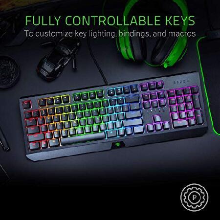 売りオーダー Razer BlackWidow Mechanische Gaming-Tastatur 2019: grune mechanische Schalter - taktile ＆ Clicky - Chroma RGB-Beleuchtung - 10 Tasten Anti-Ghosting -