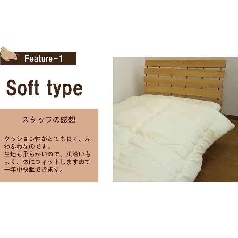 テイジン 肌掛け布団 シングル（150×210cm） 抗菌防臭 中わた量 約0.4