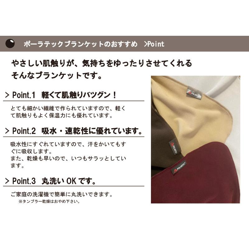 ポーラテック ひざ掛け 約70×100cm フリース POLARTEC 軽くて暖か