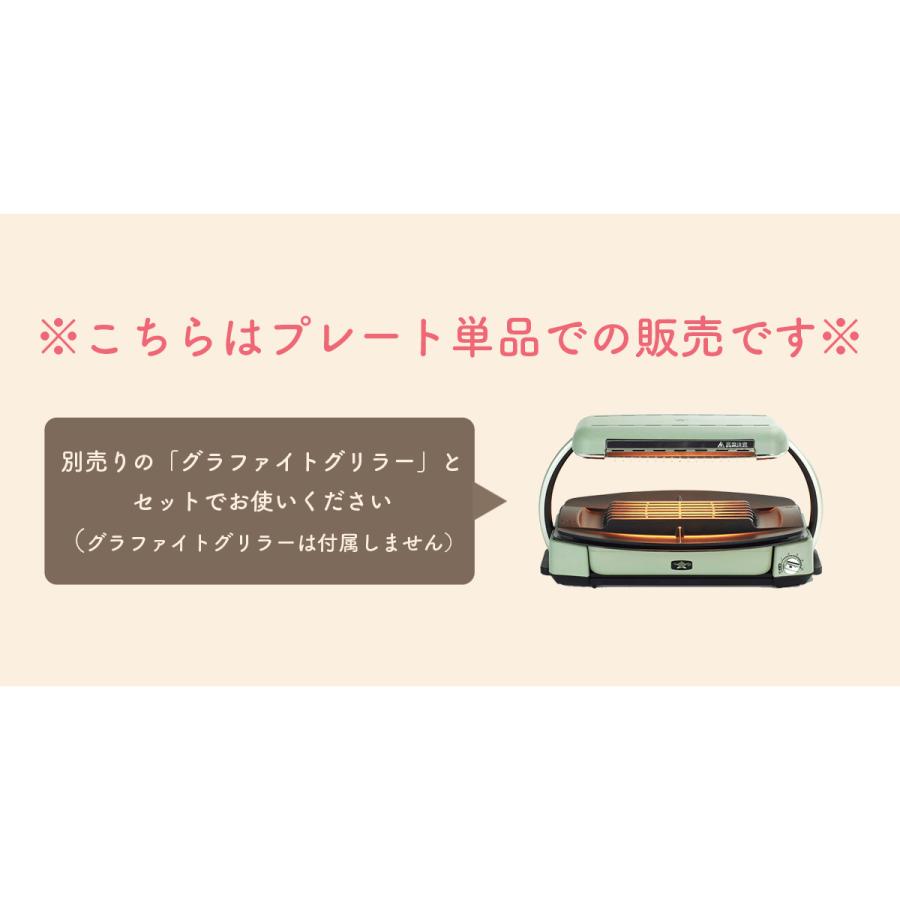 アラジン 最大30%☆5/1限定 グリルプレート Aladdin アラジン 最大30%☆5/1限定 グリルプレート Aladdin