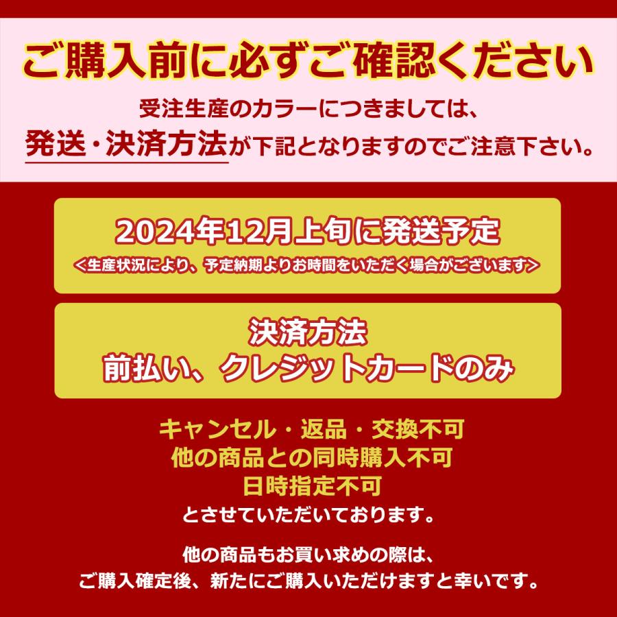 受注生産商品 6月末まで受付 ランドセル 男の子 2025年 キッズアミ KIDS AMI ナース鞄工 ワンダフルポッケ タブレットポケット クラリーノ 学習院型 62006｜galleria-onlineshop｜25