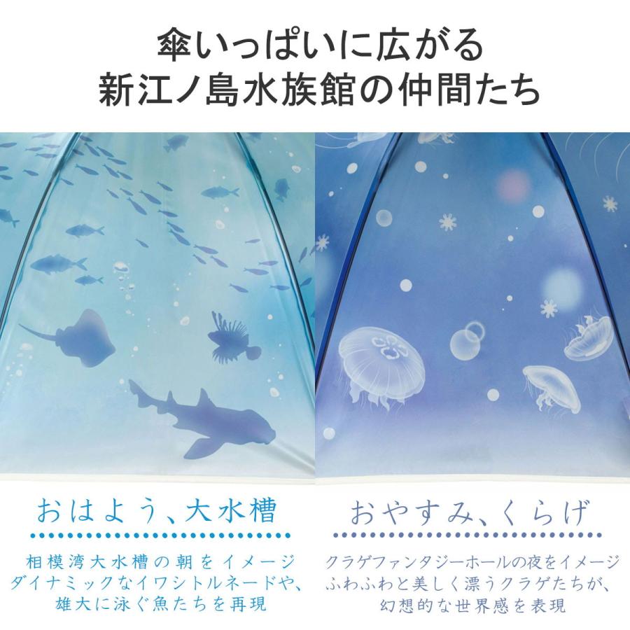 Wpc. 傘 雨傘 長傘 レディース ダブリュピーシー Wpc ブランド 大きめ おしゃれ ジャンプ 丈夫 ドーム型 えのすい× Wpc. アンブレラ｜galleria-onlineshop｜06