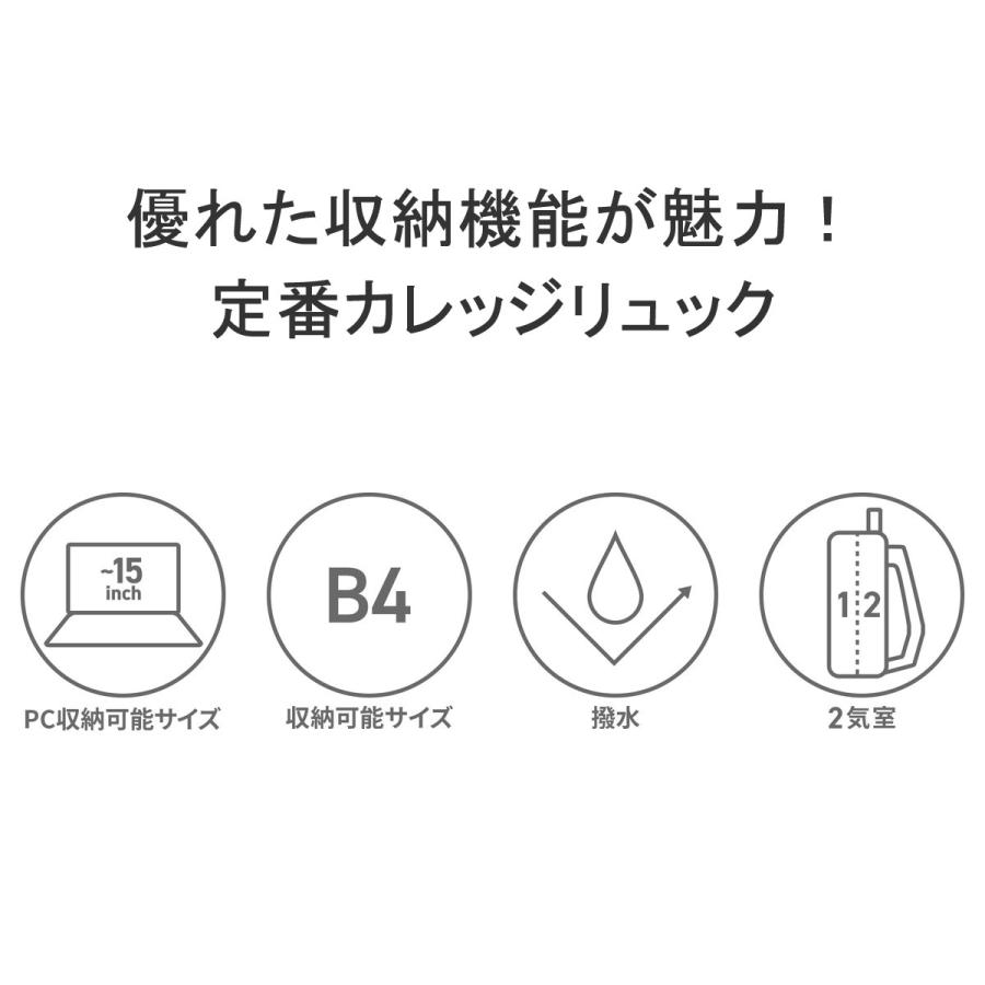 最大44%★5/30〜 ベンデイビス リュック BEN DAVIS STREET DAYPACK ストリートデイパック バックパック 通学リュック 大容量 2層 31L ユニセックス BDW-8304の画像