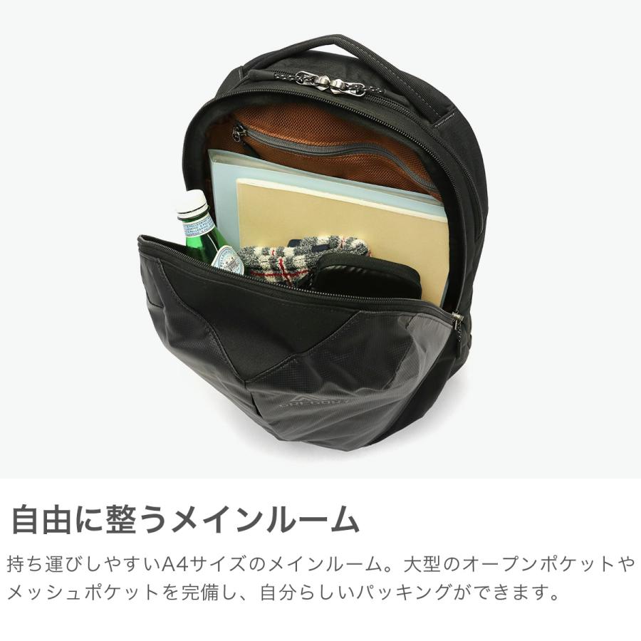 GREGORY（グレゴリー） 最大50%☆5/5限定 日本正規品 リュック メンズ