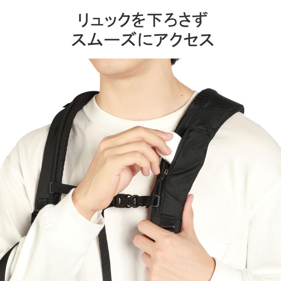 日本正規品 グレゴリー リュック メンズ レディース おしゃれ GREGORY デイパック リュックサック カジュアル 軽量 軽い 通勤 ルーヌ20の画像