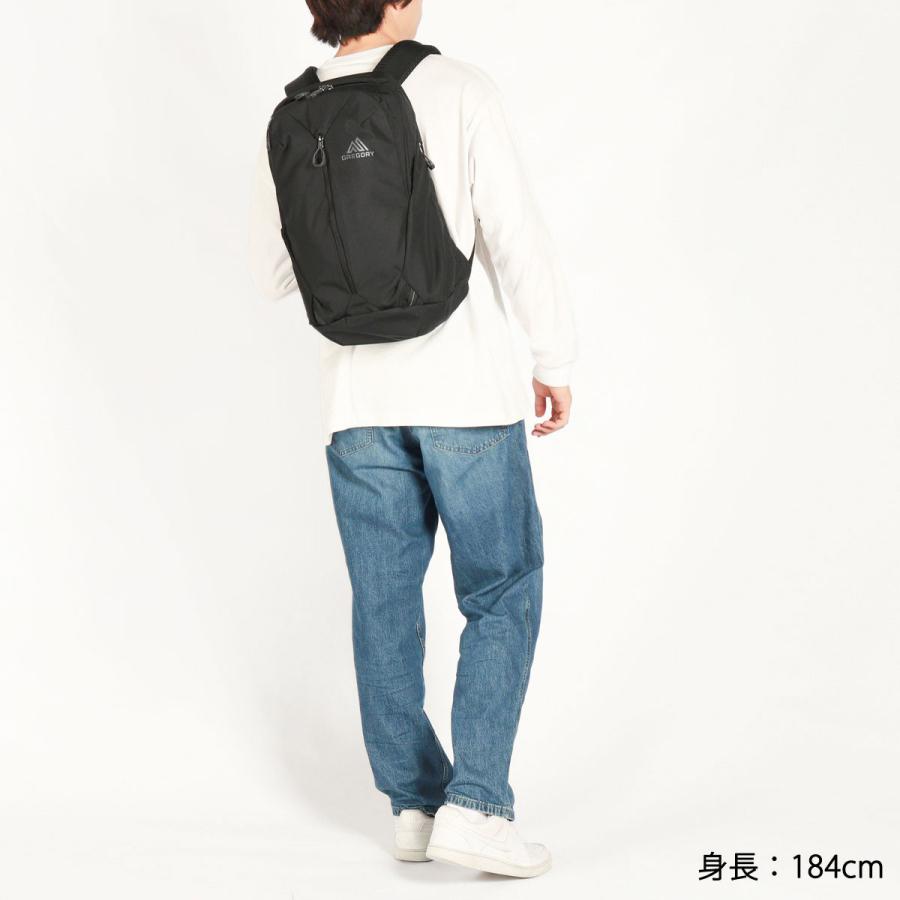 日本正規品 グレゴリー リュック メンズ レディース おしゃれ GREGORY デイパック リュックサック カジュアル 軽量 軽い 通勤 ルーヌ20の画像