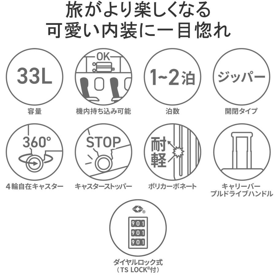 HaNT 最大50%☆7/15限定 10年保証 ハント マイン スーツケース 機内