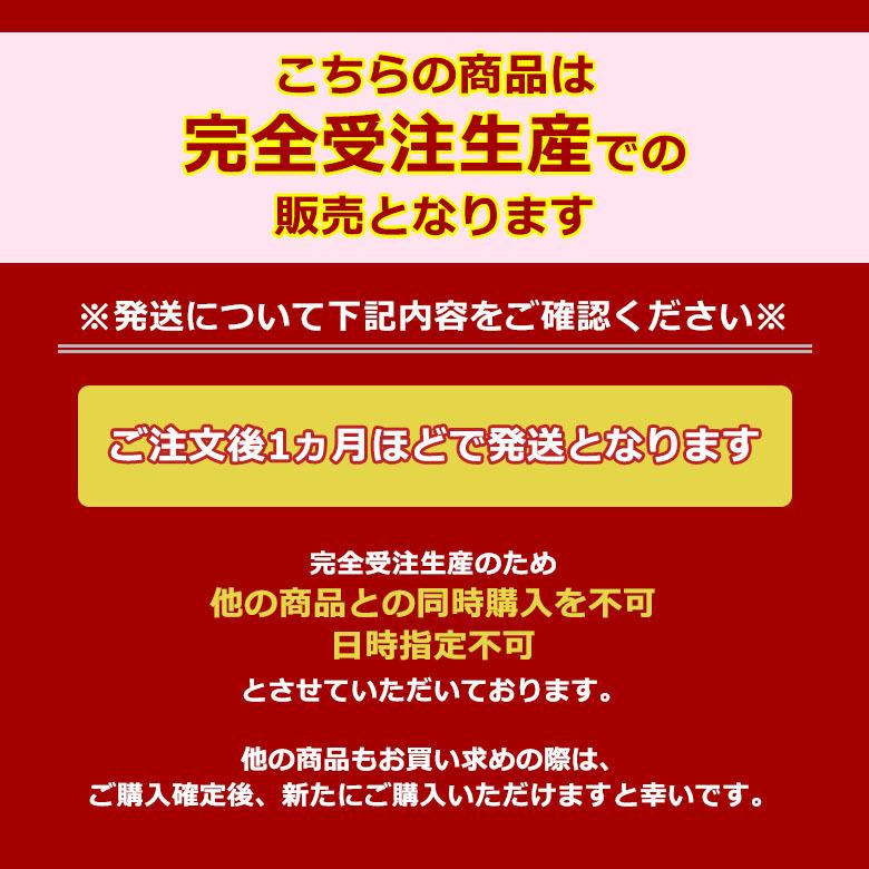 最大51%★4/22〜 受注生産商品 1年保証 イヤホン 有線 ハイレゾ アンティーム intime 翔 2.5mmプラグ イヤフォン カナル 日本製 オーツェイド O2aid 爆買の画像