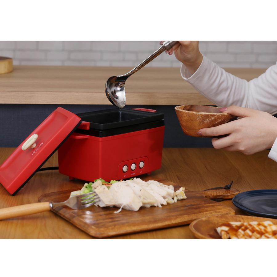 正規品1年保証 プリズメイト サラダチキンメーカー PRISMATE Salad chicken maker 楽しく使えるレシピブック付 調理家電 ギフト PR-SK023｜galleria-store｜14